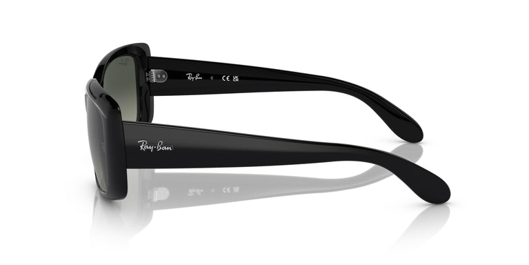 Ray-Ban RB4389 601/71 58