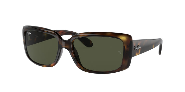 Ray-Ban RB4389 710/31 58