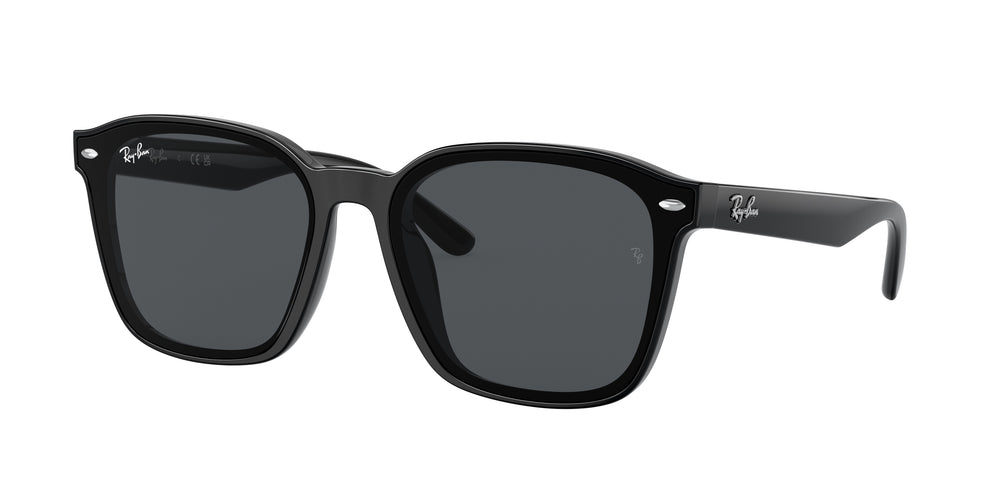 Ray-Ban RB4392D 601/87 66