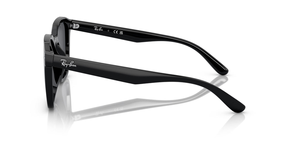Ray-Ban RB4392D 601/87 66