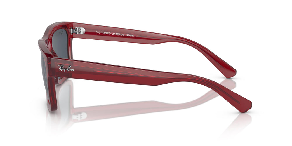 Ray-Ban RB4396 WARREN 667987 54