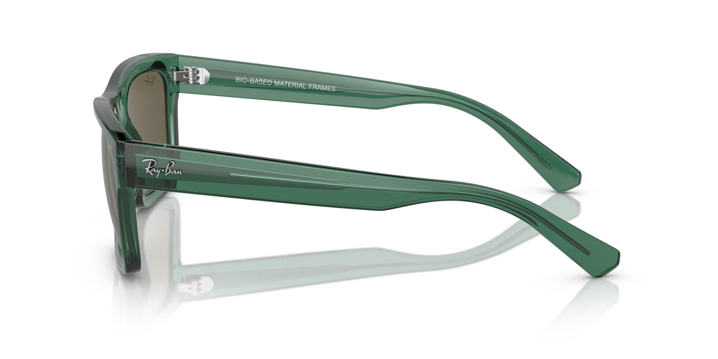 Ray-Ban RB4396 WARREN 6681/3 54