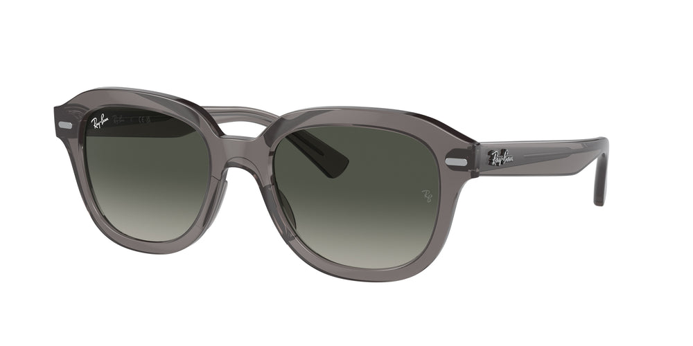 Ray-Ban RB4398 ERIK 667571 53