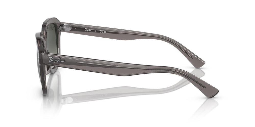 Ray-Ban RB4398 ERIK 667571 53