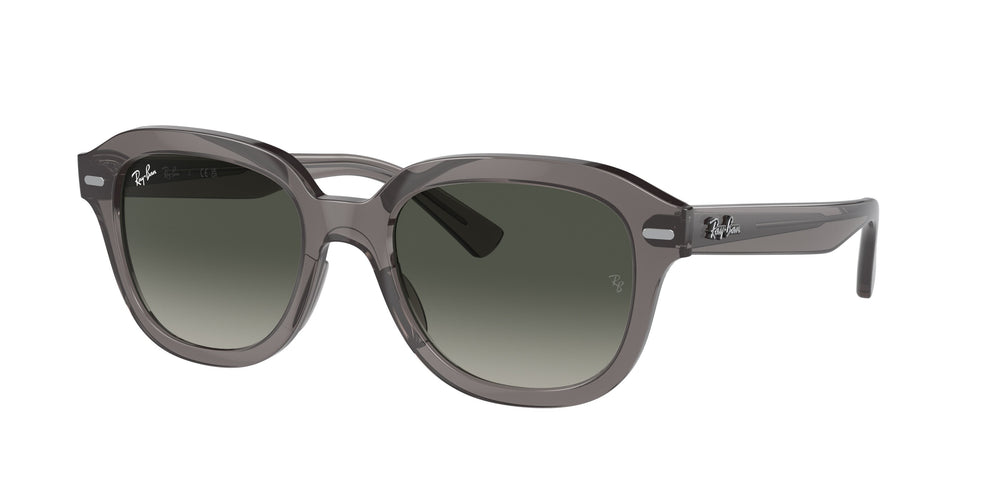 Ray-Ban RB4398 ERIK 667571 51