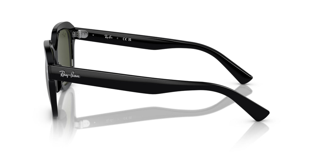 Ray-Ban RB4398 ERIK 901/31 51