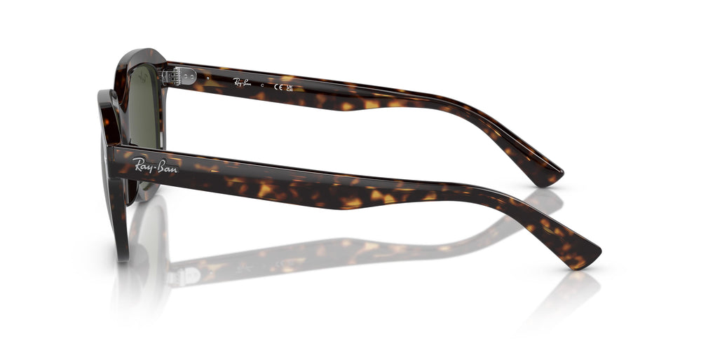 Ray-Ban RB4398 ERIK 902/31 51