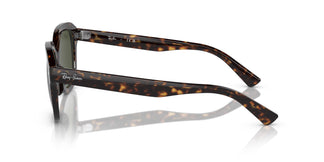 Ray-Ban RB4398 ERIK 902/31 53