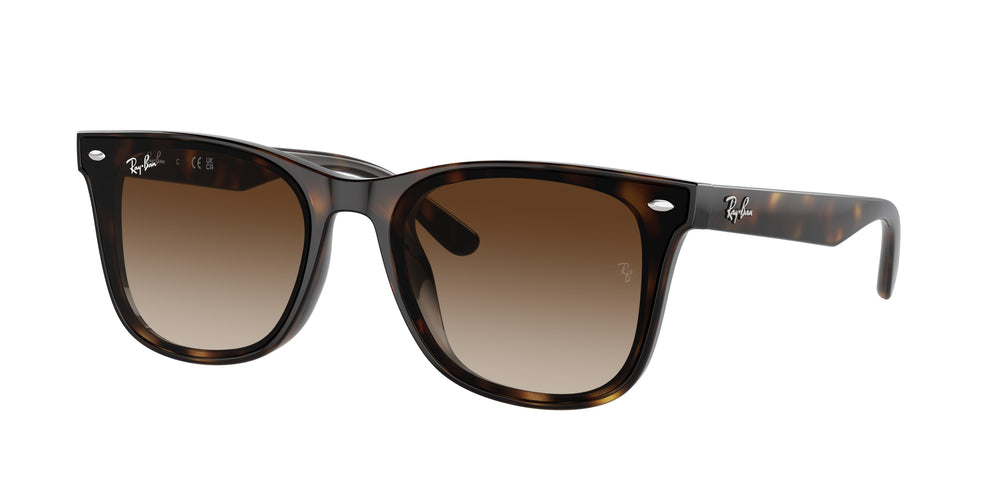 Ray-Ban RB4420 710/13 65