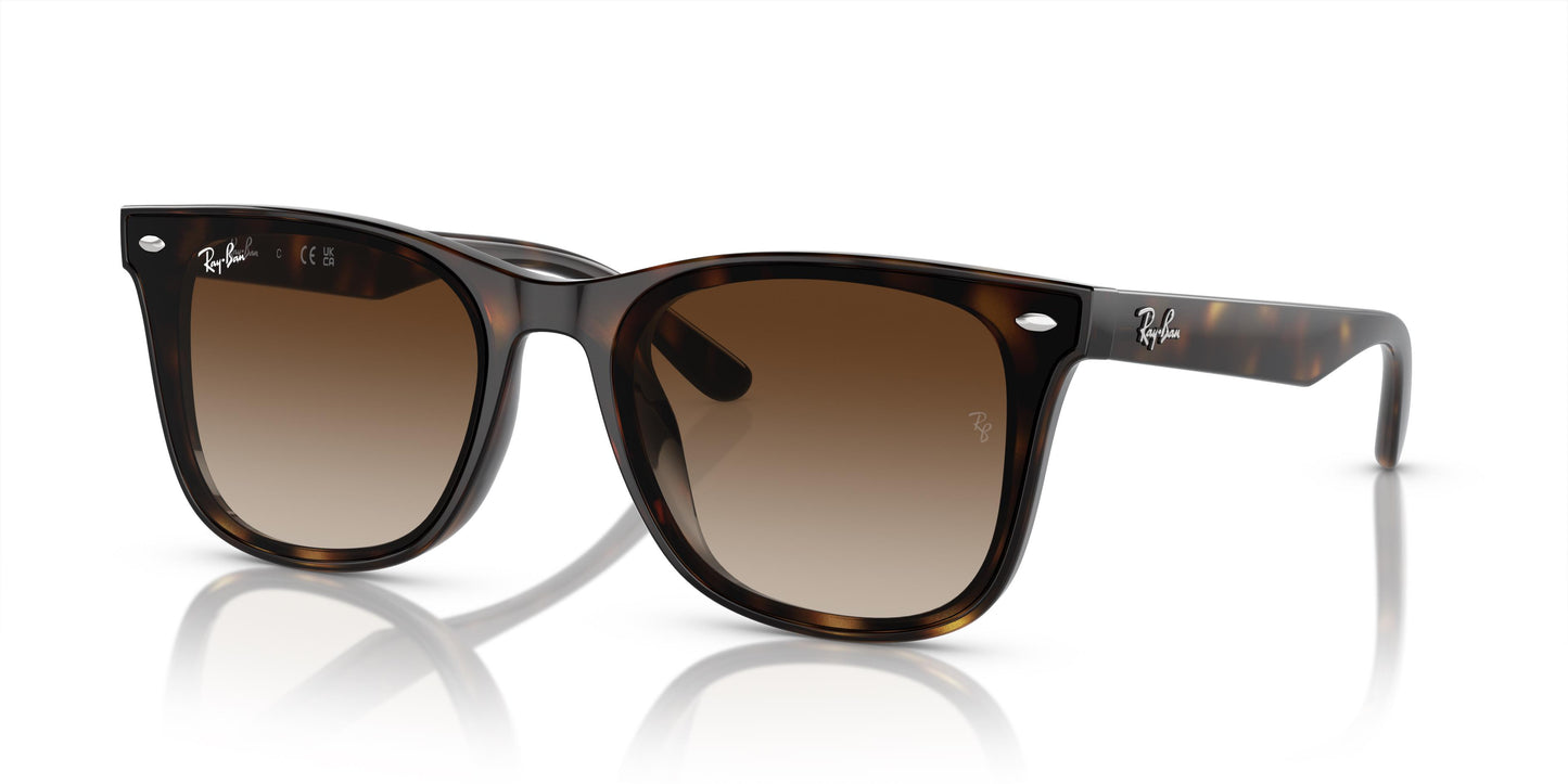 Ray-Ban RB4420 710/13 65