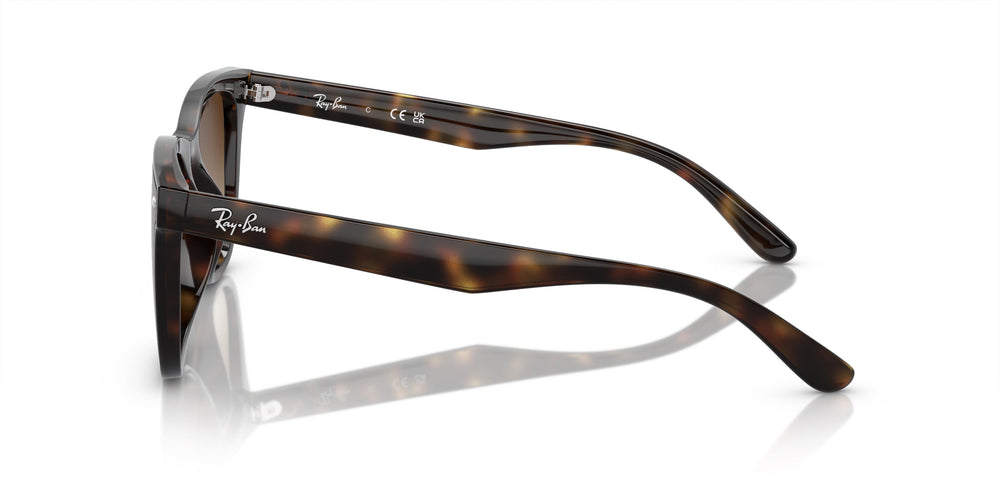 Ray-Ban RB4420 710/13 65