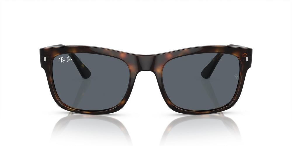 Ray-Ban RB4428 710/R5 56