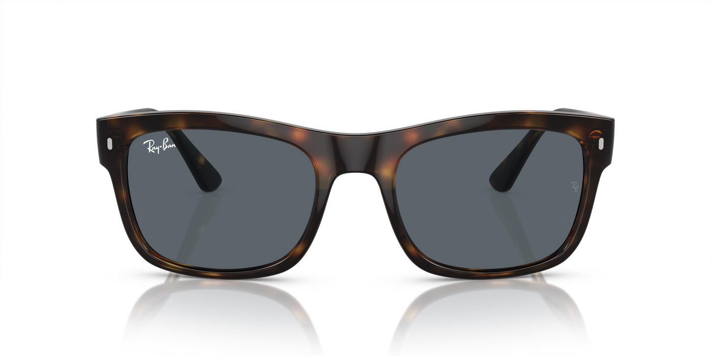 Ray-Ban RB4428 710/R5 56