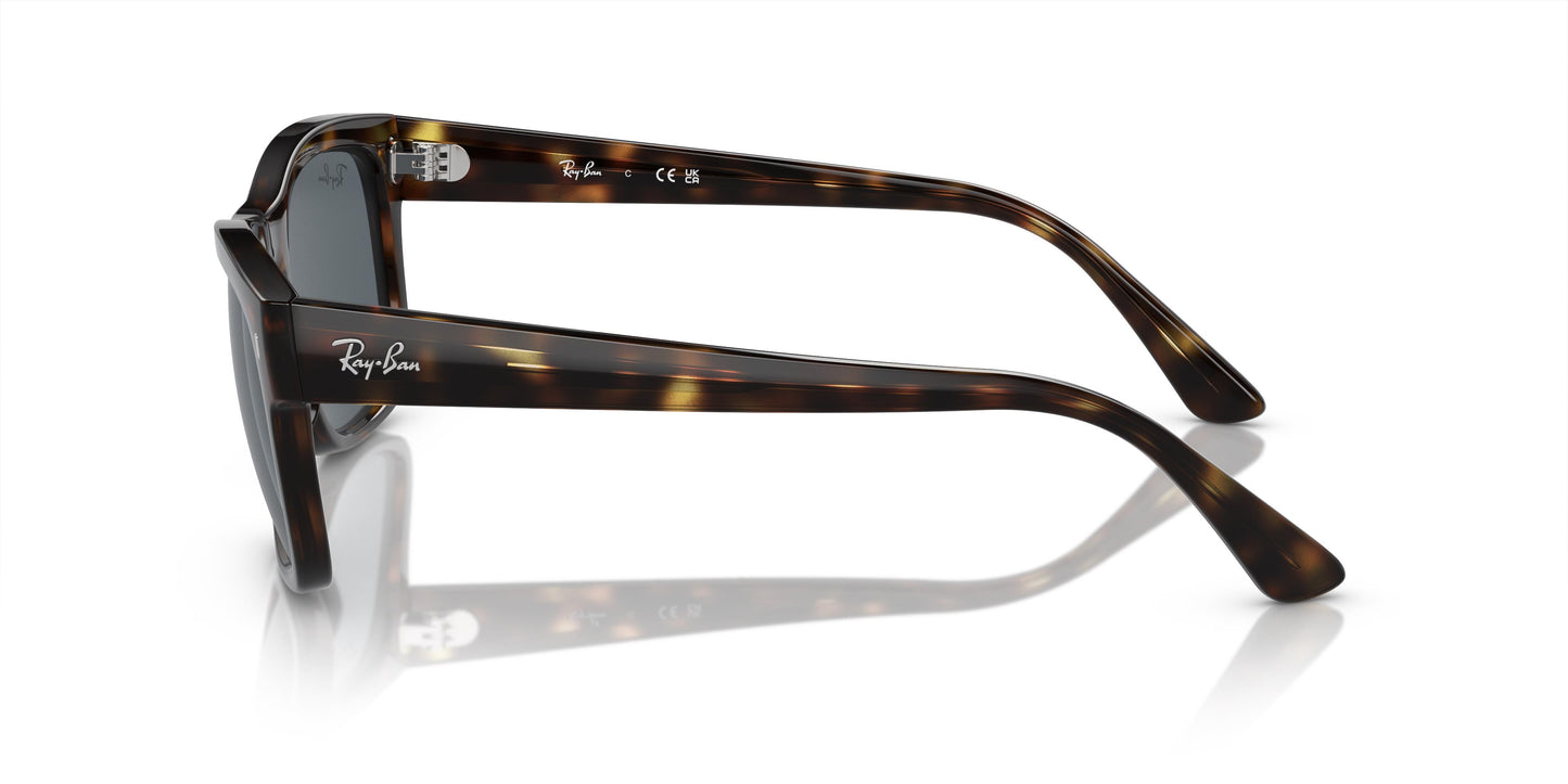 Ray-Ban RB4428 710/R5 56