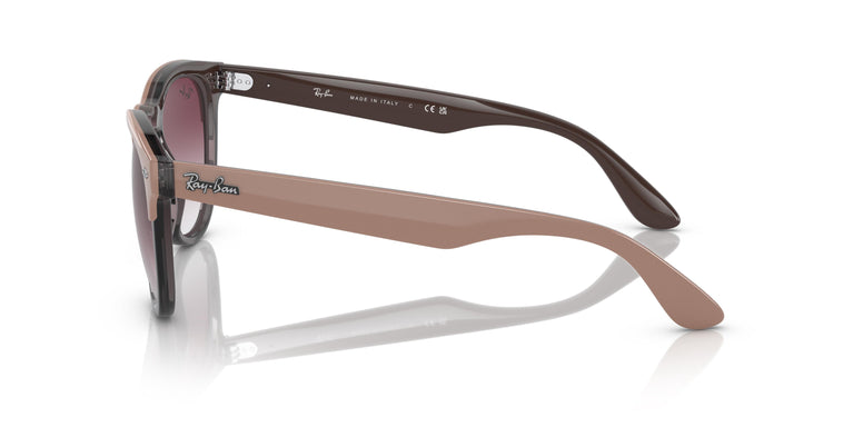 Ray-Ban RB4471 IRIS 66338H 54