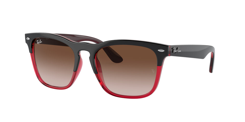 Ray-Ban RB4487 STEVE 663113 54