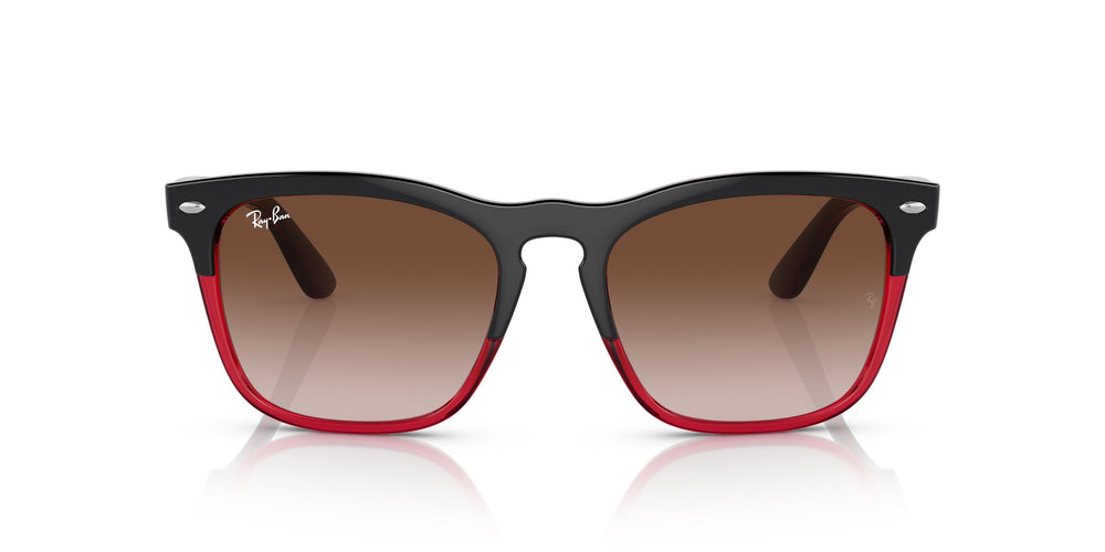 Ray-Ban RB4487 STEVE 663113 54