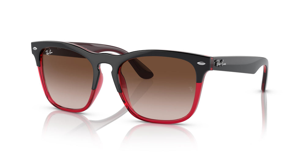 Ray-Ban RB4487 STEVE 663113 54