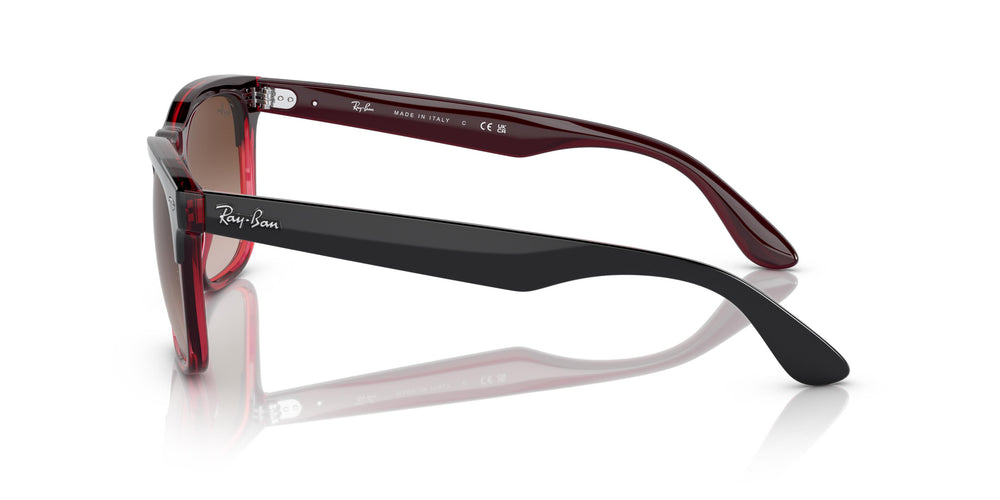Ray-Ban RB4487 STEVE 663113 54