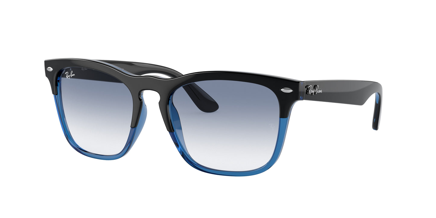 Ray-Ban RB4487 STEVE 663219 54