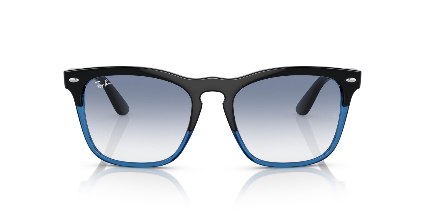 Ray-Ban RB4487 STEVE 663219 54