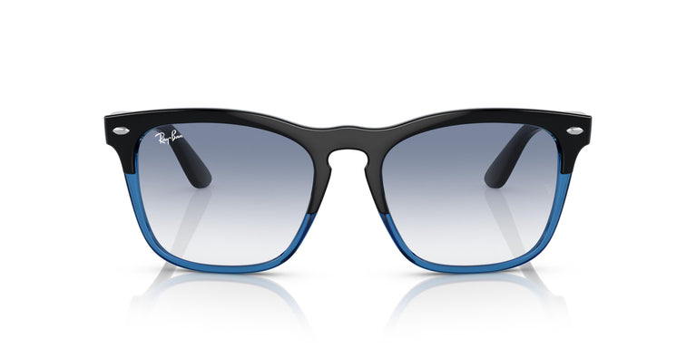Ray-Ban RB4487 STEVE 663219 54