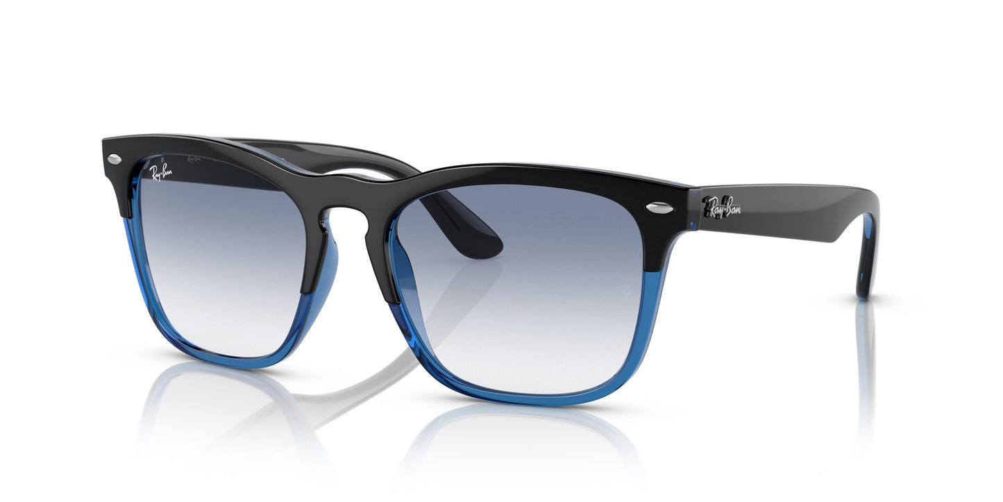 Ray-Ban RB4487 STEVE 663219 54