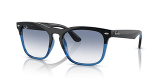 Ray-Ban RB4487 STEVE 663219 54