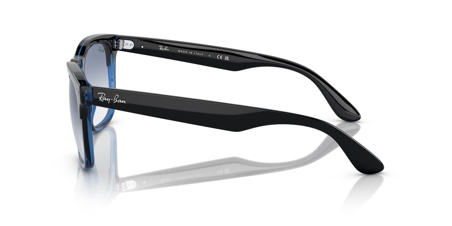 Ray-Ban RB4487 STEVE 663219 54