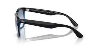 Ray-Ban RB4487 STEVE 663219 54