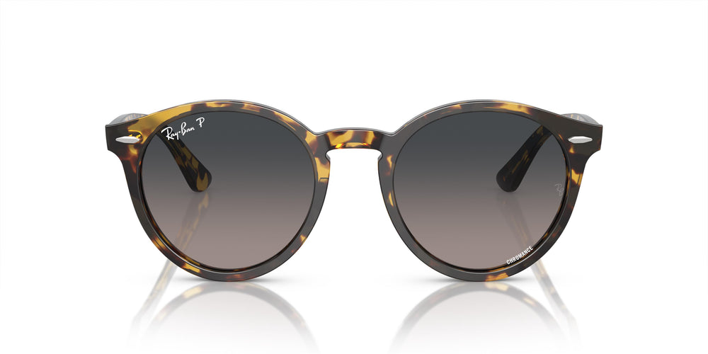 Ray-Ban RB7680S LARRY 1332GL 49