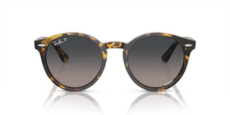 Ray-Ban RB7680S LARRY 1332GL 49