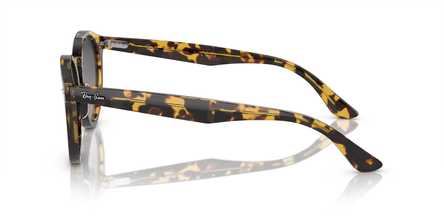 Ray-Ban RB7680S LARRY 1332GL 49