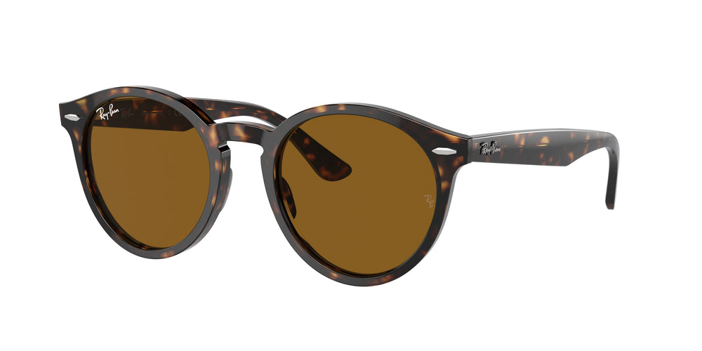 Ray-Ban RB7680S LARRY 902/33 49