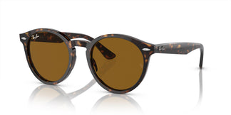 Ray-Ban RB7680S LARRY 902/33 51