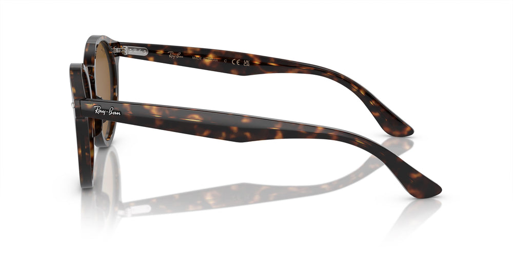 Ray-Ban RB7680S LARRY 902/33 51