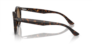 Ray-Ban RB7680S LARRY 902/33 51