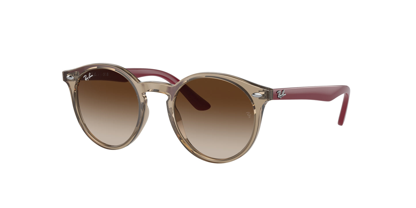 Ray-Ban RJ9064S 712313 44