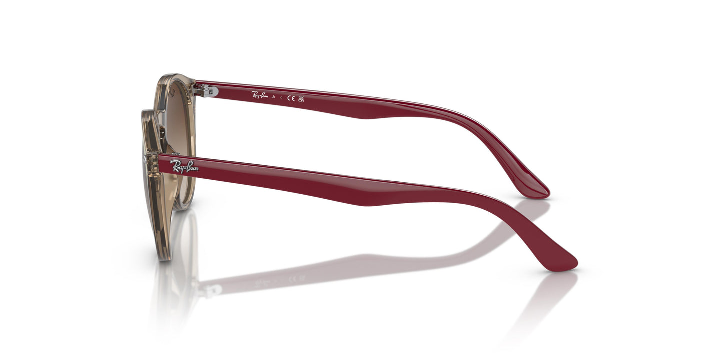Ray-Ban RJ9064S 712313 44
