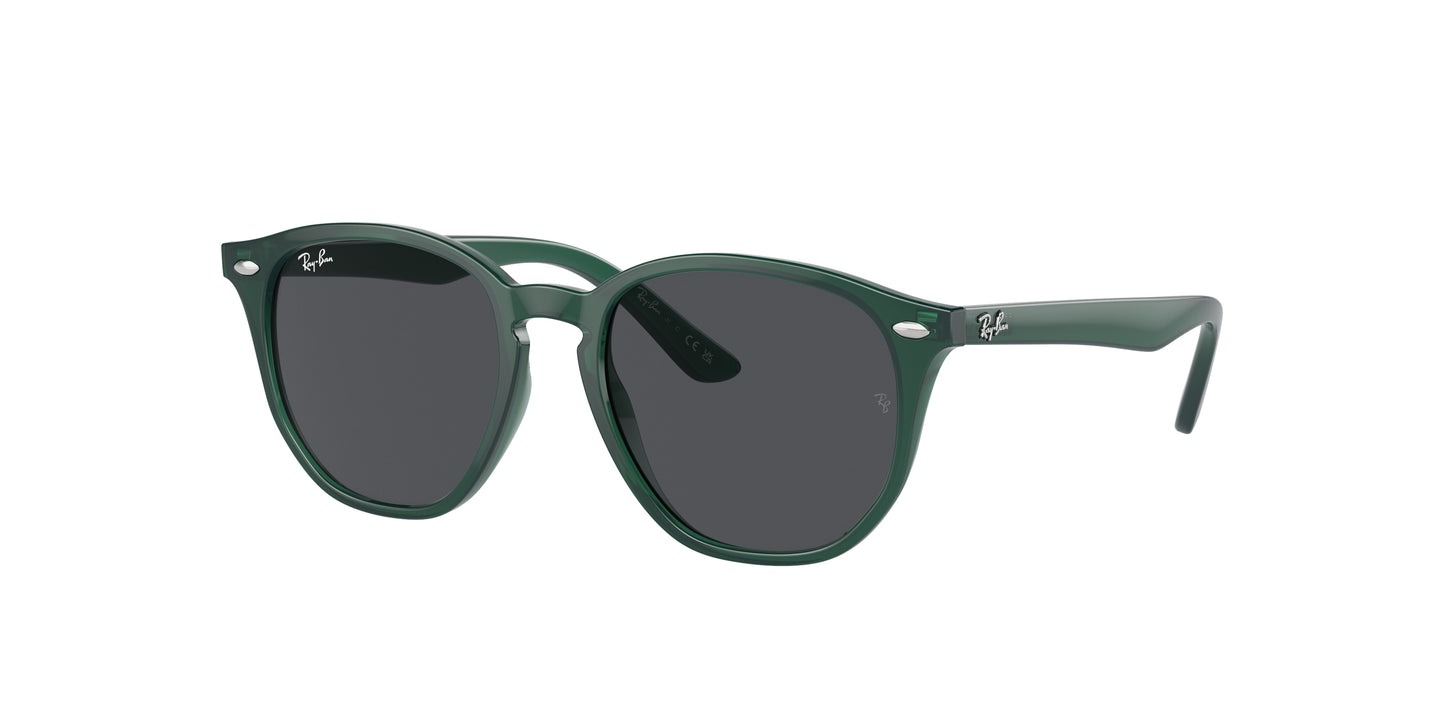 Ray-Ban RJ9070S 713087 46