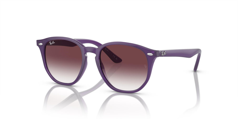 Ray-Ban RJ9070S 713136 46