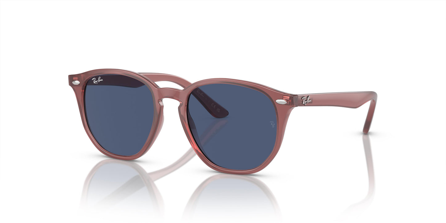 Ray-Ban RJ9070S 715680 46
