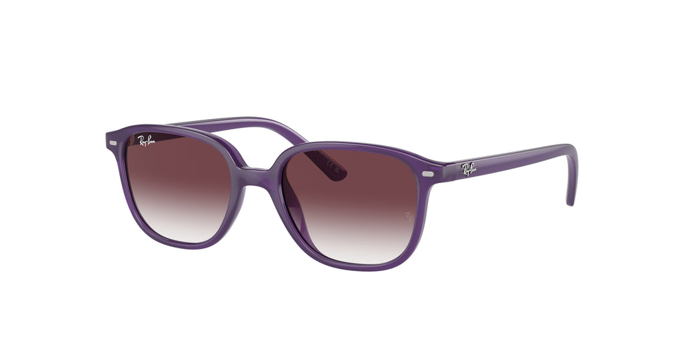 Ray-Ban Kids RJ9093S LEONARD 713136 45