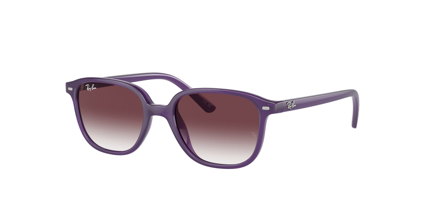 Ray-Ban Kids RJ9093S LEONARD 713136 45