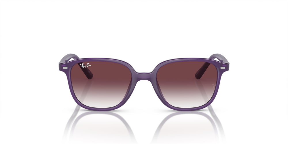 Ray-Ban Kids RJ9093S LEONARD 713136 45