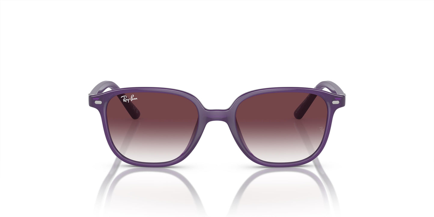Ray-Ban Kids RJ9093S LEONARD 713136 45
