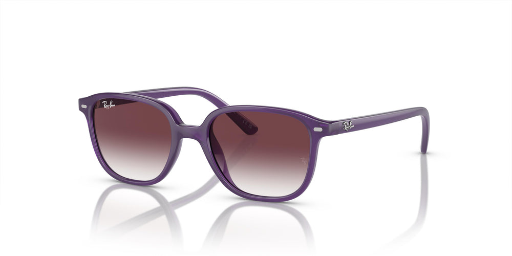 Ray-Ban Kids RJ9093S LEONARD 713136 45