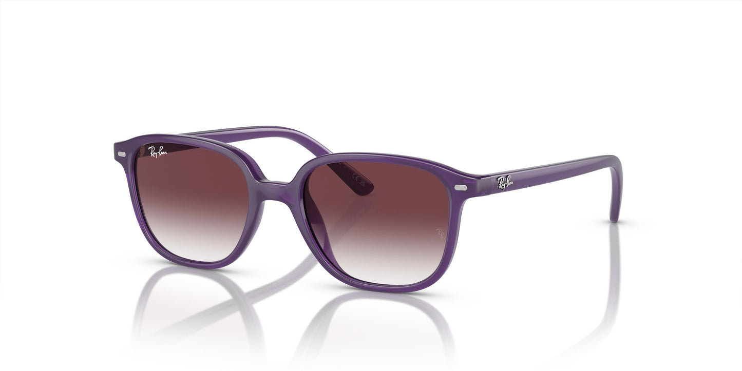 Ray-Ban Kids RJ9093S LEONARD 713136 45