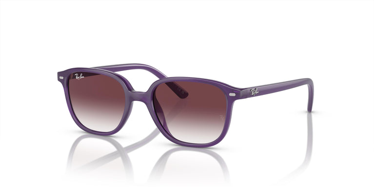 Ray-Ban Kids RJ9093S LEONARD 713136 45