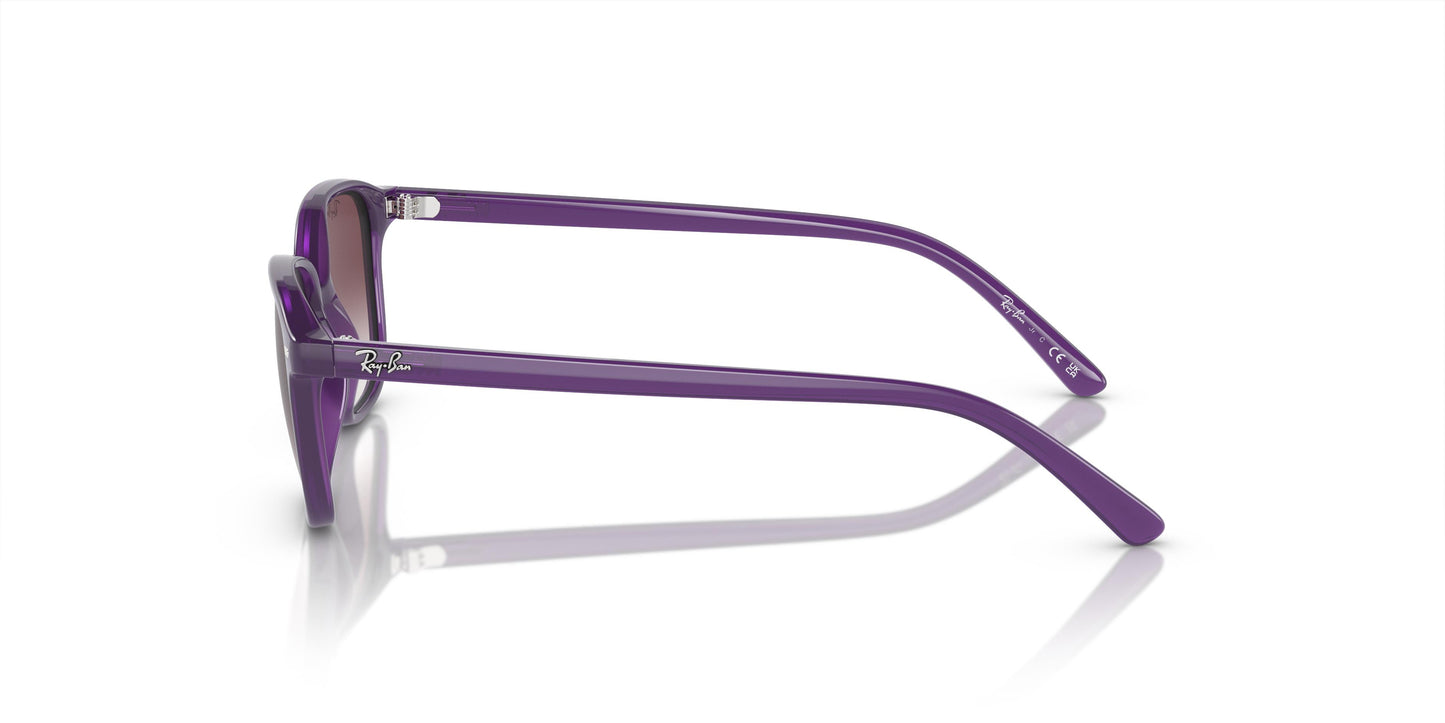Ray-Ban Kids RJ9093S LEONARD 713136 45